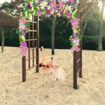 Flamingos Got Married on Private Island in Aruba