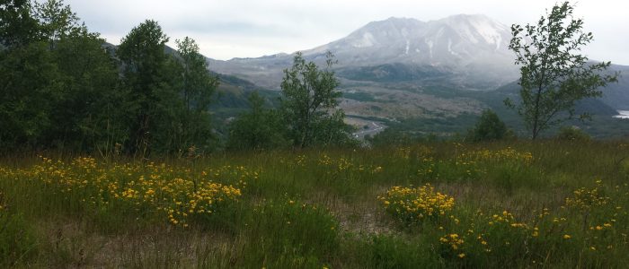 Mt. St. Helens