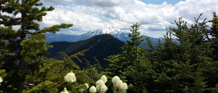 Mt. Jefferson from Coffin Mountain