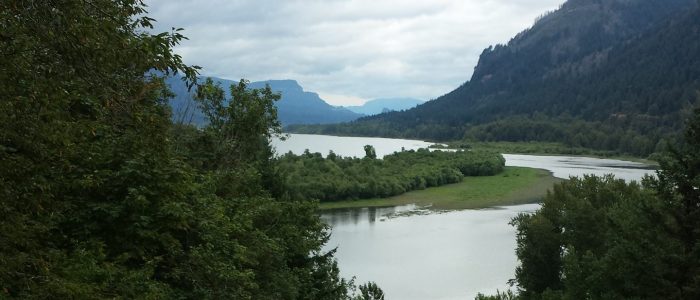 Columbia River Gorge from Rooster Rock